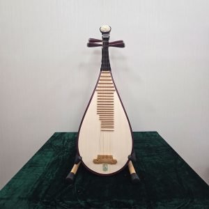 兒童琵琶